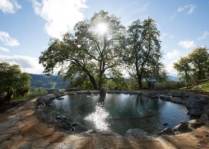 Chalet Kaiser Dullberg